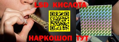 прущие грибы Кингисепп