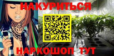 прущие грибы Кингисепп