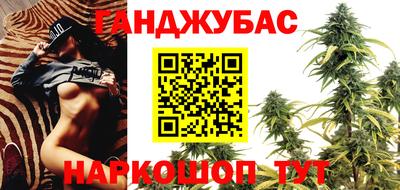 прущие грибы Кингисепп