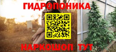 прущие грибы Кингисепп