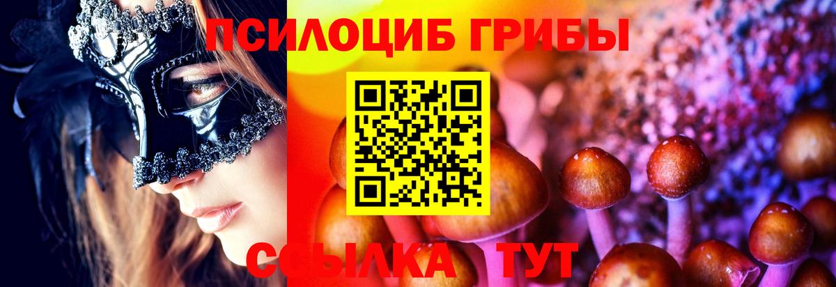 Псилоцибиновые грибы мицелий  Вход с VPN  Волхов  купить наркотик  Псилоцибиновые грибы Psilocybe 